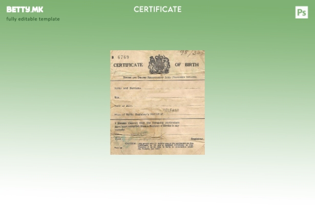 Модерен стил шаблон за потврда за раѓање на Секретаријат на родени и умрени во С